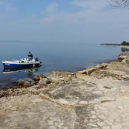 Insula * Kožino