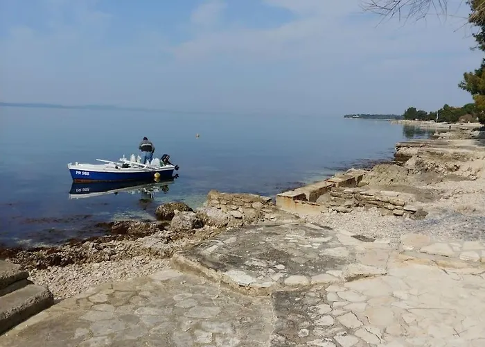 Insula * Kožino